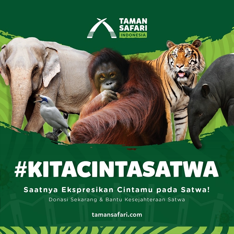 #kitacintasatwa, Taman Safari Indonesia Ajak Masyarakat Bantu Satwa 