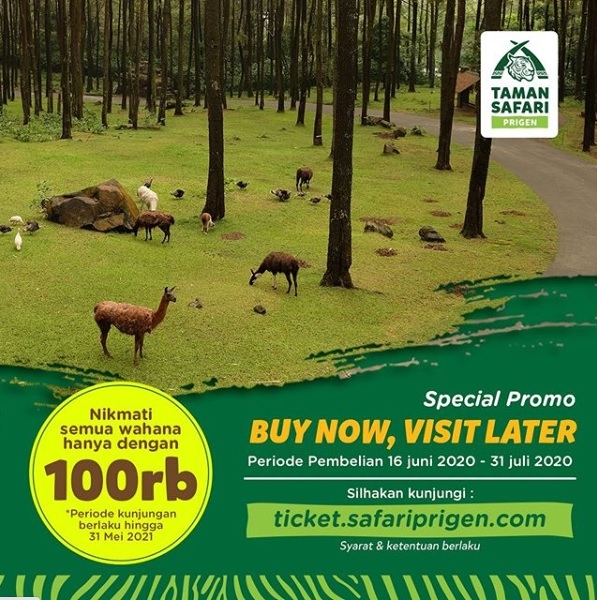 Sambut ‘New Normal’, Taman Safari Prigen Berikan Promo Menarik!