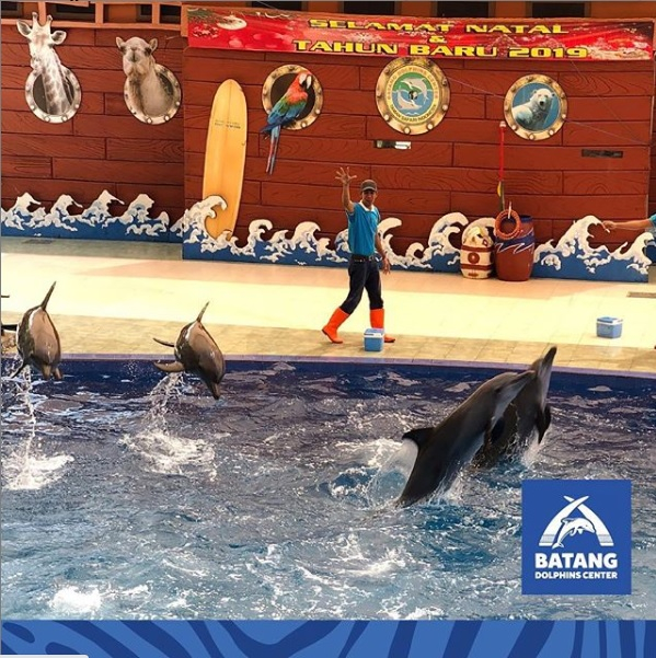 Batang Dolphins Center Dibuka Kembali dengan Protokol ‘New Normal’