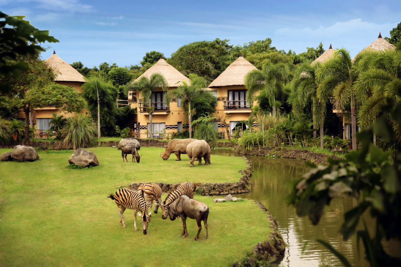 Sensasi Menginap Sambil Mendengar Auman Singa di Mara River Safari Lodge