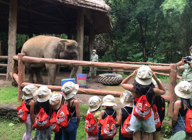 Kids Adventure: Merayakan Ulang Tahun Poppy si Gajah