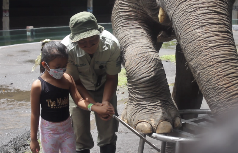 Behind The Scene, Junior Mahout, Bali Safari