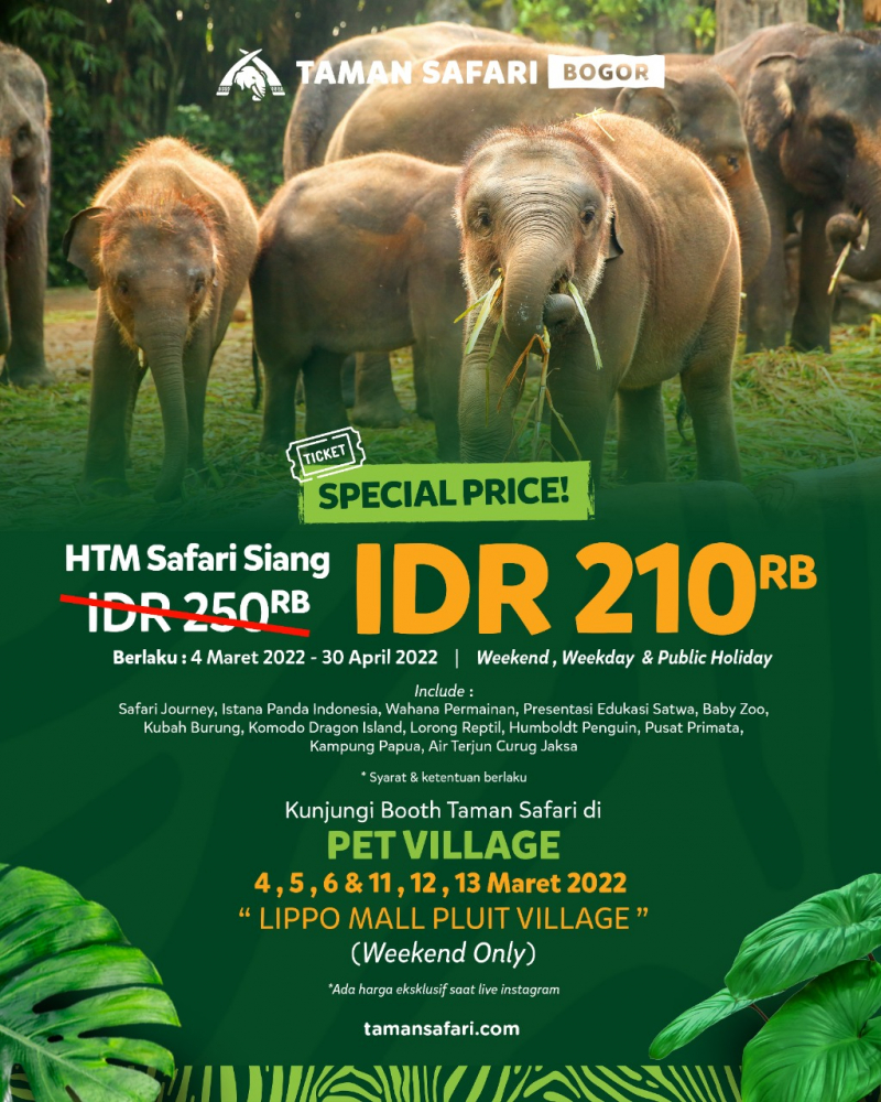 Hanya Rp 210 ribu, Tiket Masuk Taman Safari Bogor!