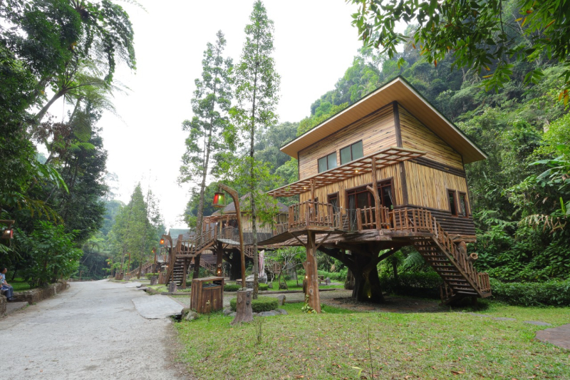 Treehouse atau rumah pohon Safari Resort TSI Bogor. (*)