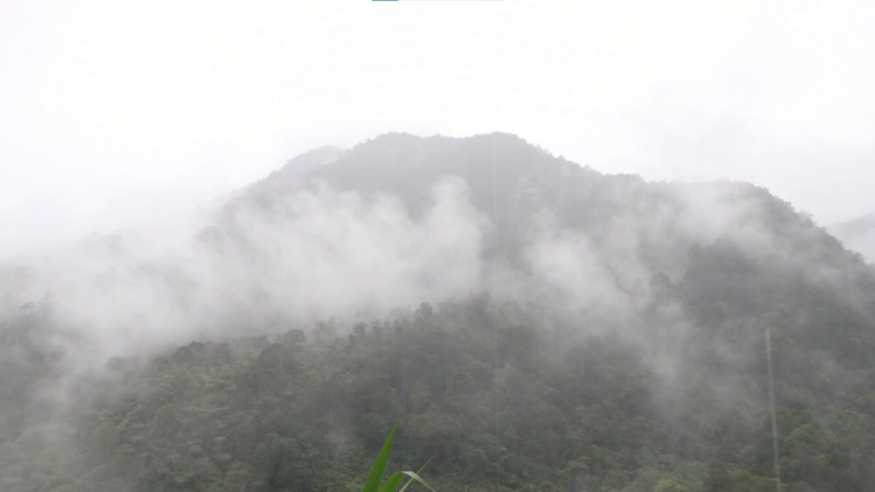 Panorama kabut di Gunung Gede Pangrango diambil dari Taman Safari Bogor, Jumat (30/12/2022). (*)