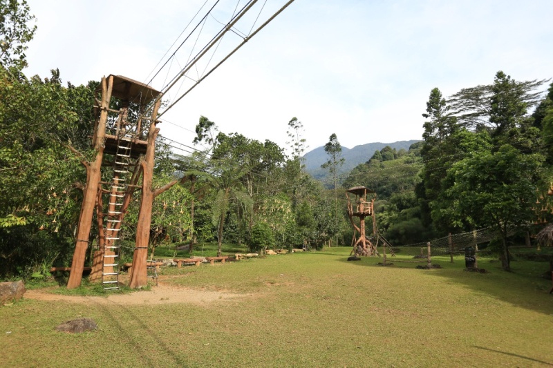 Anak Gunung Silahkan Merapat! Rasakan Camping di Taman Safari Bogor, Hanya Rp1,2 Juta Bonus Nonton Cowboy Show