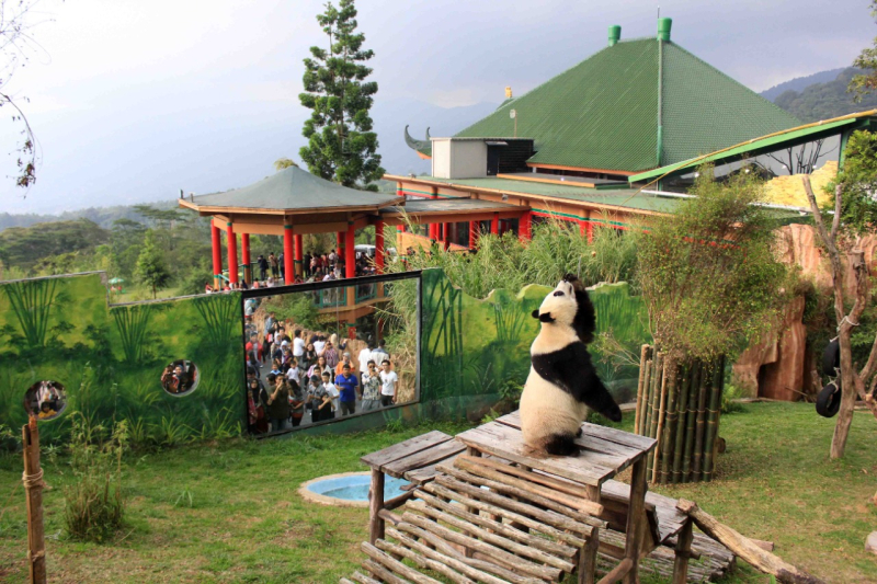Suasana liburan di Istana Panda Taman Safari Bogor. (*)