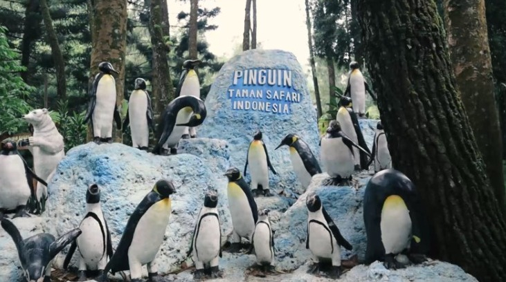 Penguin di Taman Safari Bogor. (*)