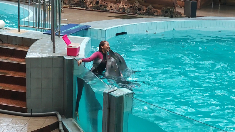 Dolphin Awareness Month 2023, Mari Jaga dan Lestarikan Lumba-lumba!
