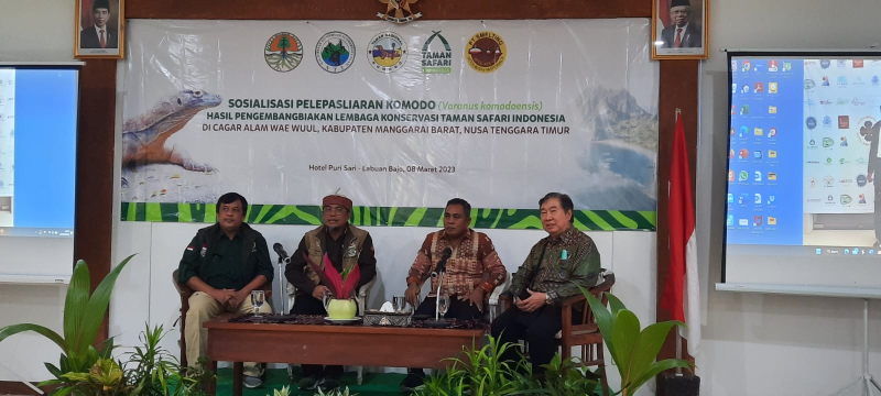 Taman Safari Bogor dan KLHK Siapkan Pelepasliaran Komodo di NTT