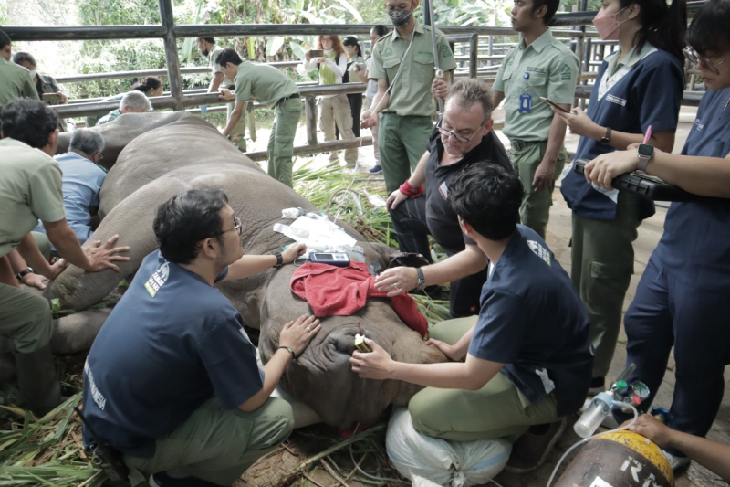 World Veterinary Day 2023, di Balik Sukses Taman Safari Indonesia Mengelola Ribuan Satwa!