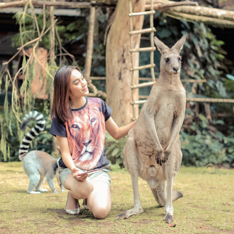 Rasakan Sensasi Bercengkerama dan Feeding Kanguru Australia di Taman Safari Bogor, Cukup Bayar Rp35 Ribu Saja!