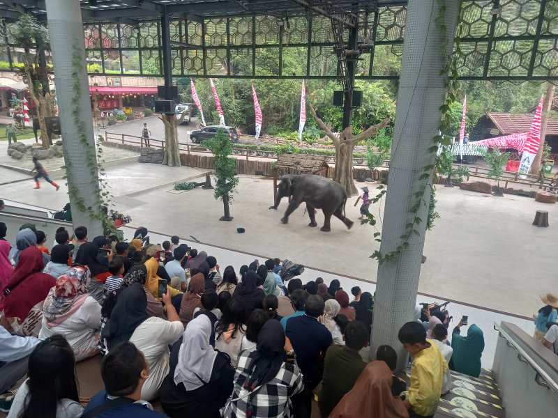 World Elephant Day 2023, Taman Safari Bogor Ajak Pengunjung Lestarikan Hutan dan Lindungi Gajah Lewat Teater