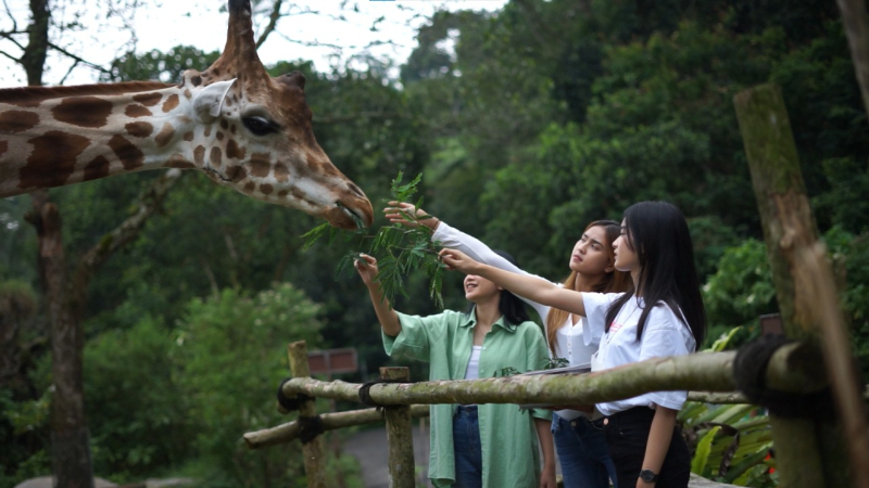 Buruan Serbu Promo Safari Bersama Pahlawan, Tiket Taman Safari Bogor Hanya Rp180 Ribu!