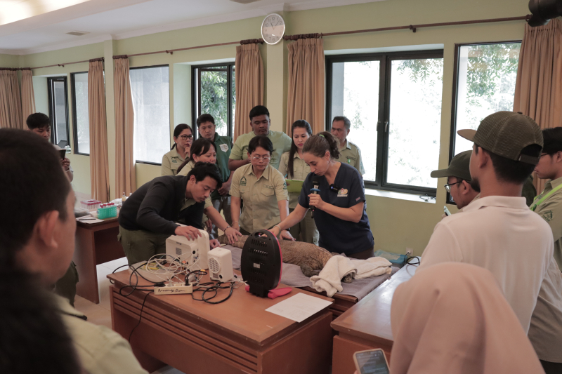 KLHK Gandeng TSI, Sosialisasikan One Plan Approach Kepedulian Satwa Komodo ke Pelaku Konservasi di Indonesia!