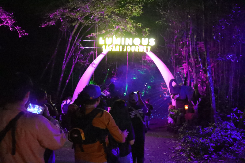 Dibuka 9 Hari sampai 31 Desember 2023! Parade Hutan Menyala ‘Luminous Journey’ di Taman Safari Bogor Diserbu Wisatawan