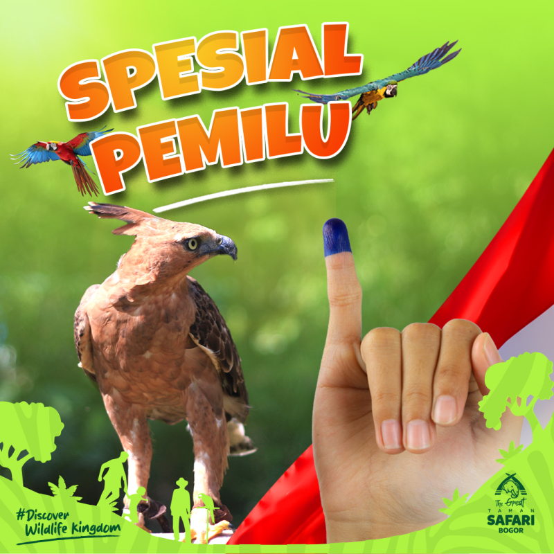 Promo tiket masuk Taman Safari Bogor spesial Pemilu 2024. (*)