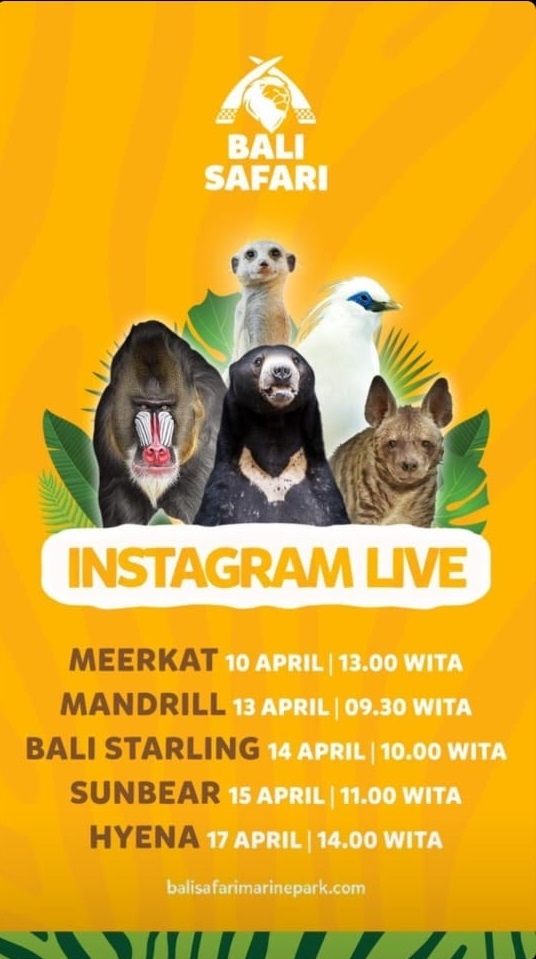 Yuk, Lebih Dekat dengan Satwa di Instagram Live Bali Safari!
